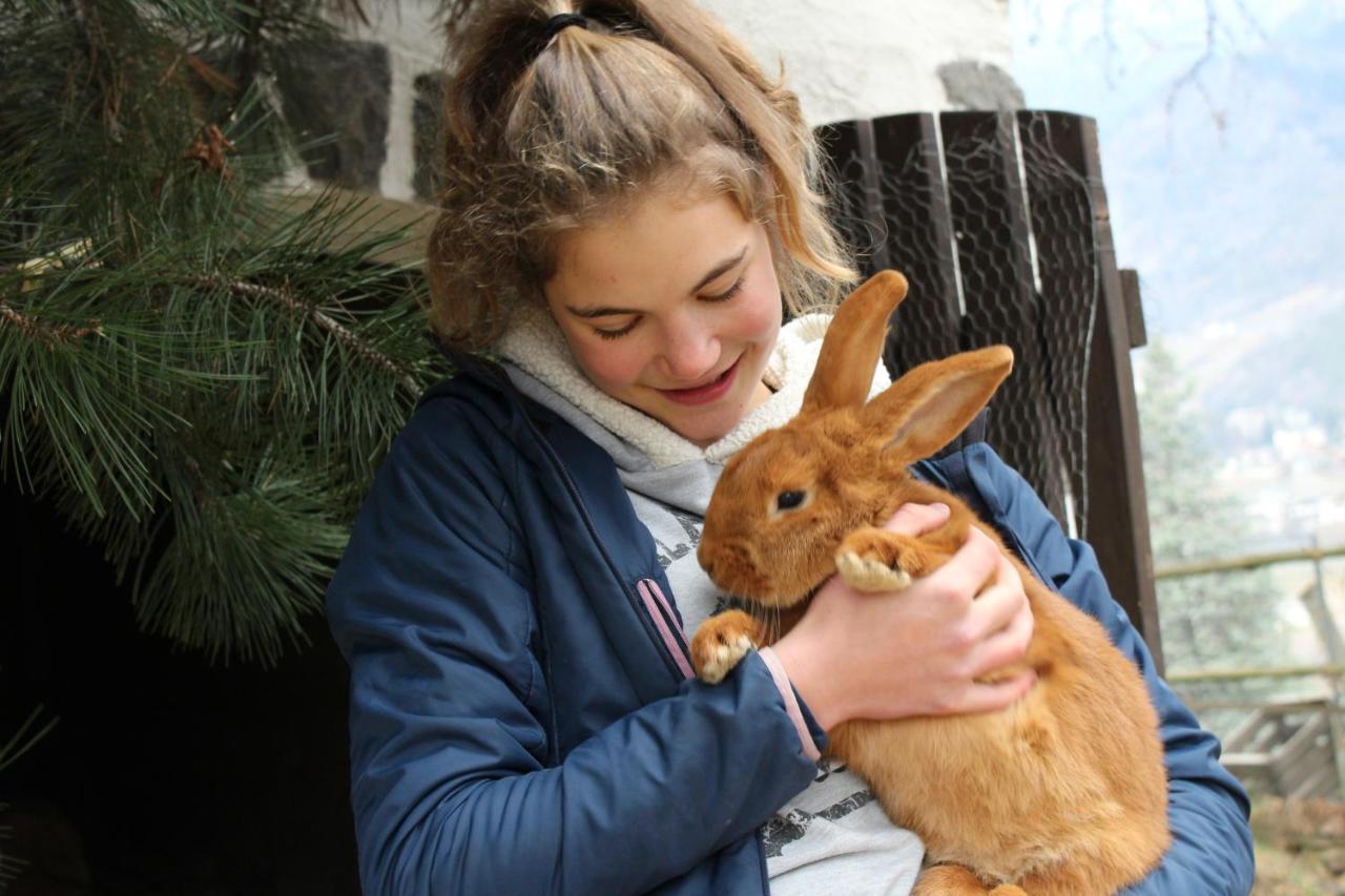 Moserhof Marlengo Kültér fotó